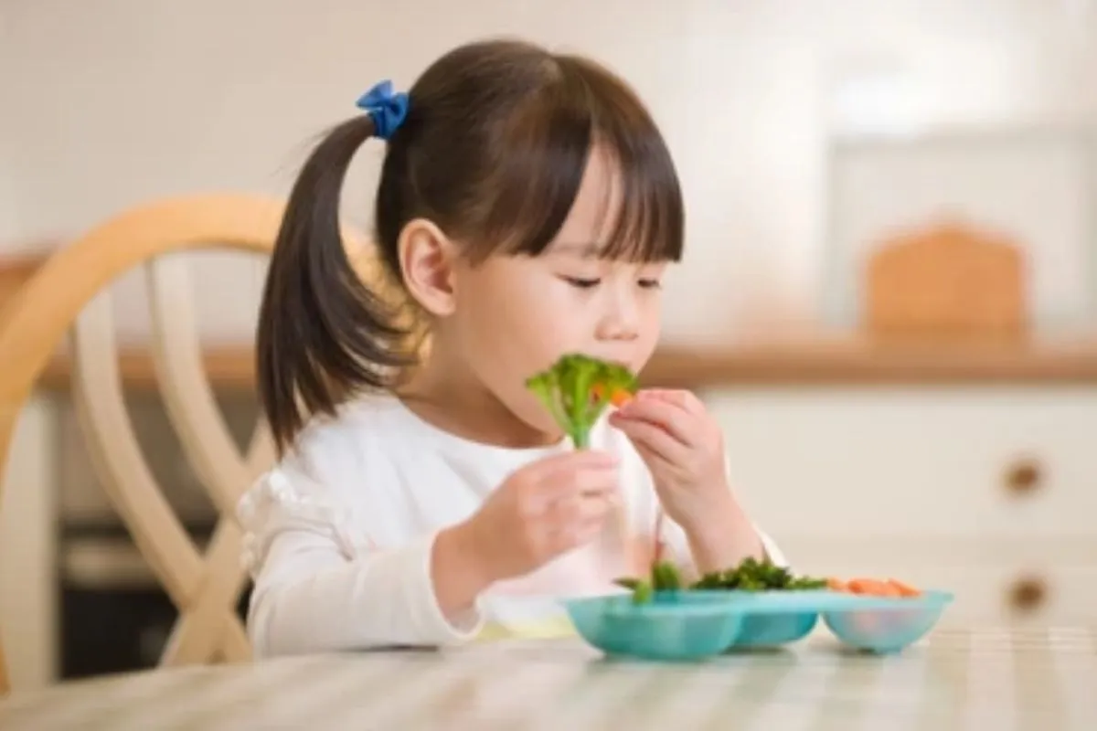 Konsumsi Sayur Harian Mendorong Regenerasi Sel